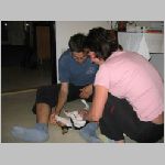IMG_5895 [800x600].jpg